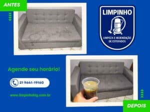 como-tirar-cheiro-de-urina-de-pet-do-sofa